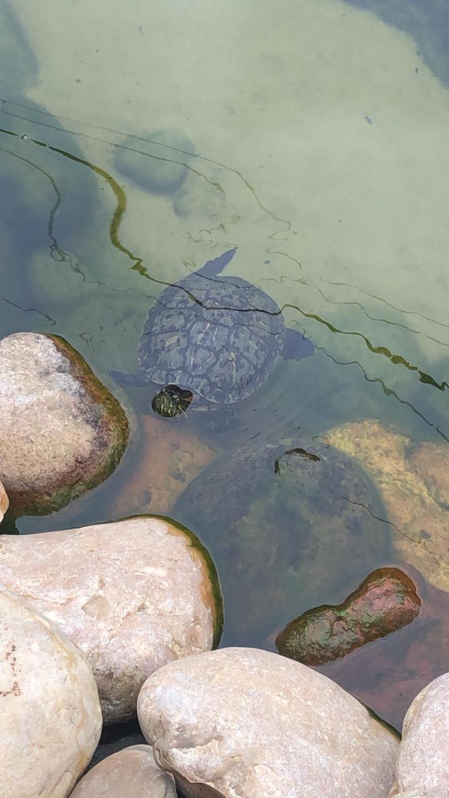 Pousada Vo Lica Com Piscina Penha  Bagian luar foto