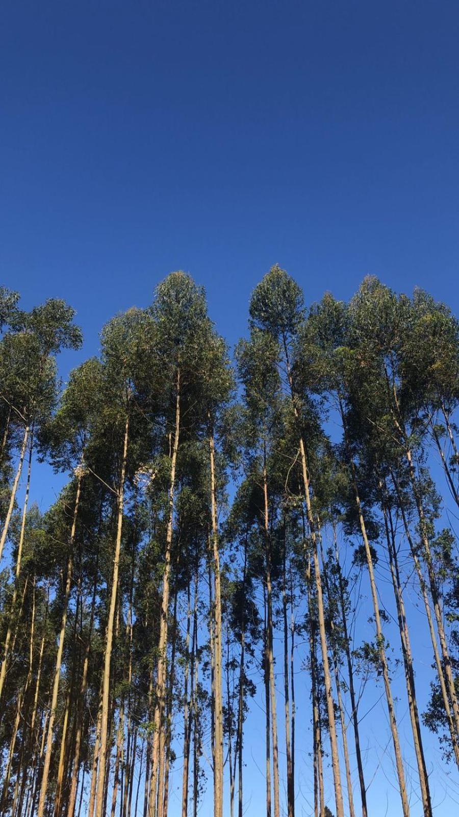 Pousada Vo Lica Com Piscina Penha  Bagian luar foto